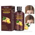 Shampooing de croissance des cheveux Polygonum Multiflorum Ginger Rebrowth